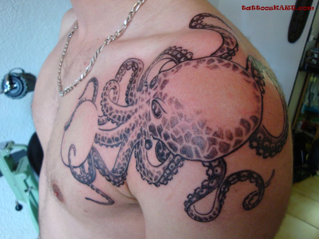 50 Awesome Octopus Shoulder Tattoos intended for proportions 1024 X 768