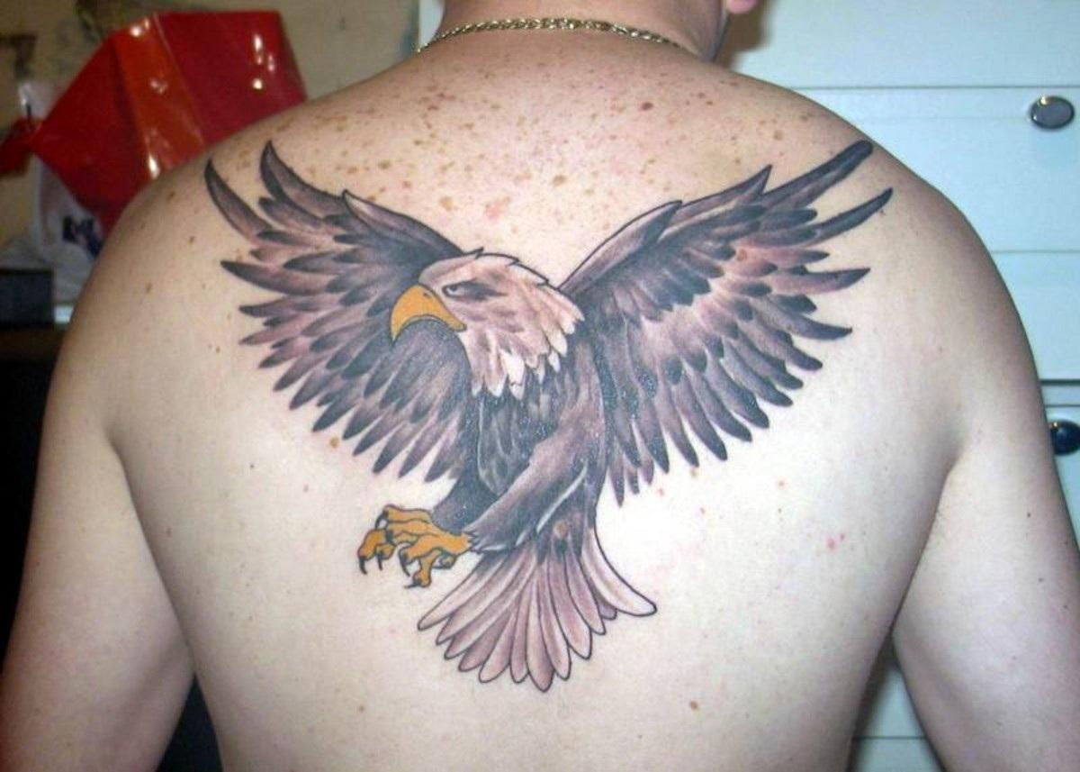 50 Eagle Tattoos For Back With Meanings for dimensions 1200 X 857