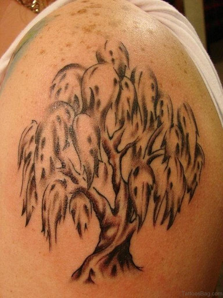 50 Stylish Tree Tattoos On Shoulder pertaining to size 768 X 1024