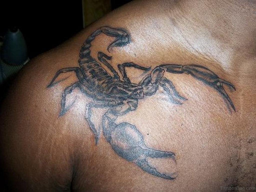 51 Elegant Scorpion Tattoos On Shoulder with sizing 1024 X 768