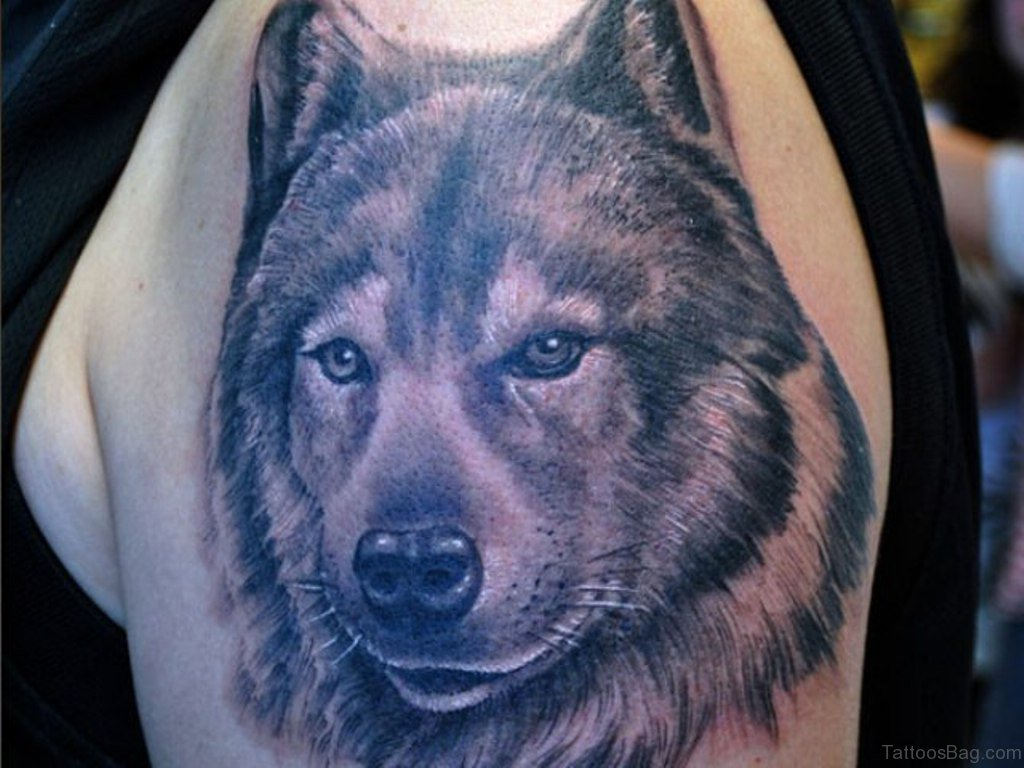 51 Elegant Wolf Tattoos On Shoulder inside size 1024 X 768