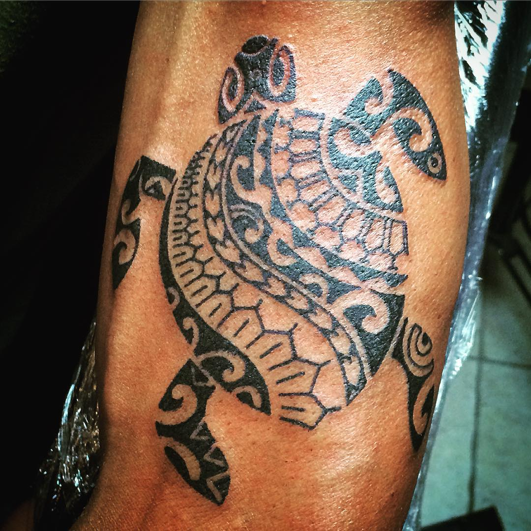 68 Polynesian Turtle Tattoos Collection for sizing 1080 X 1080