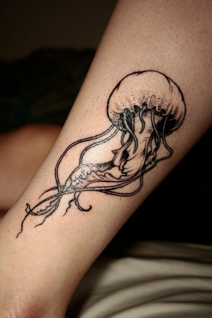 72 Beautiful Jellyfish Tattoos with regard to measurements 736 X 1104