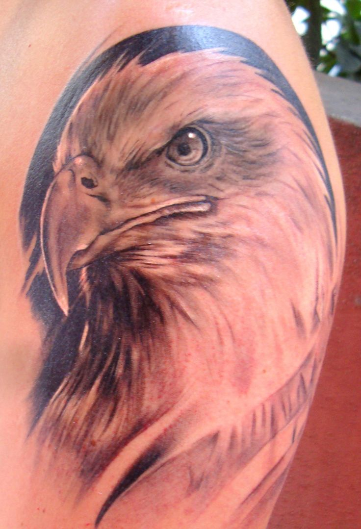 75 Best Eagle Head Tattoos Designs With Meanings within size 736 X 1079