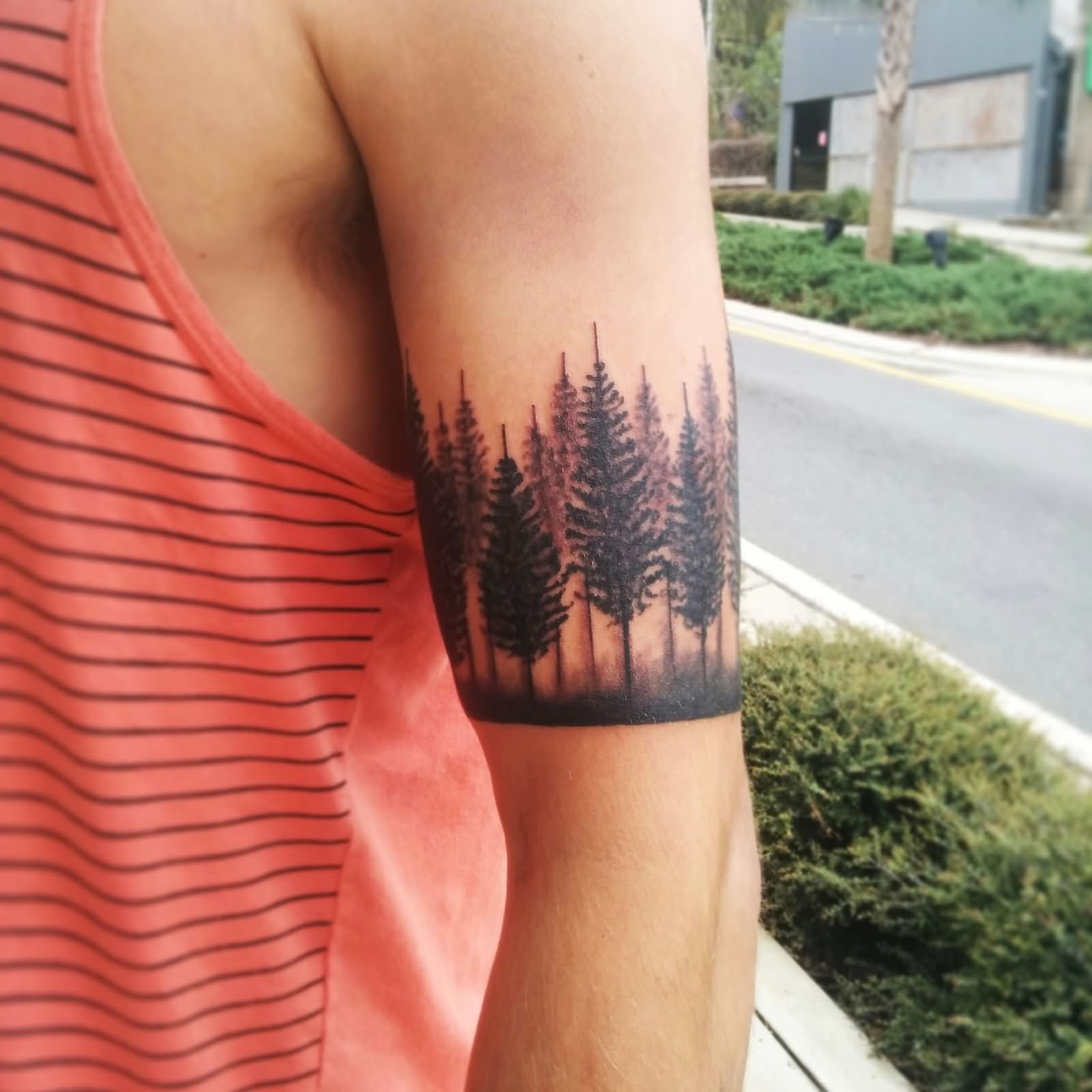 81 Pine Tree Tattoos And Ideas inside measurements 1600 X 1600