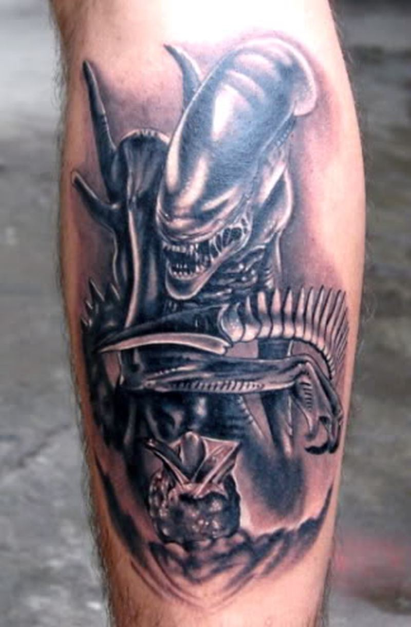 Alien Predator Tattoo Tattoos Book 65000 Tattoos Designs in size 800 X 1221