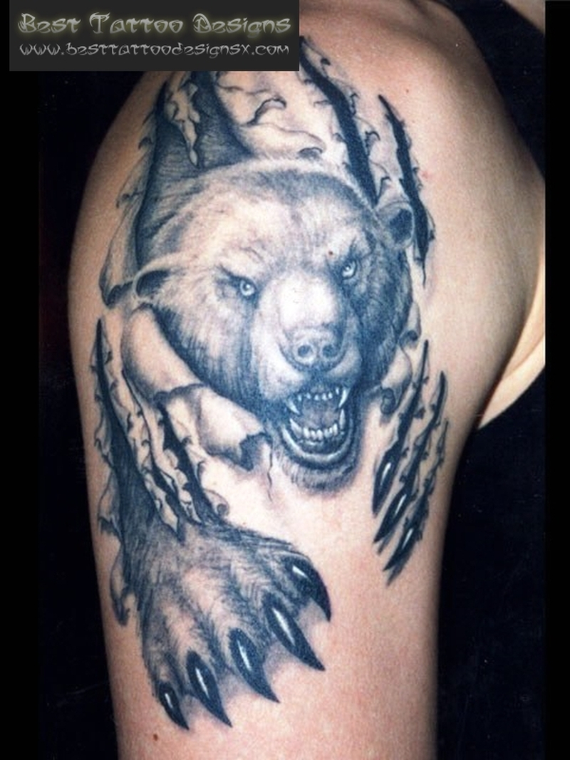 Angry Bear Tattoo Design For Shoulder Tattoos Book 65000 within size 800 X 1067