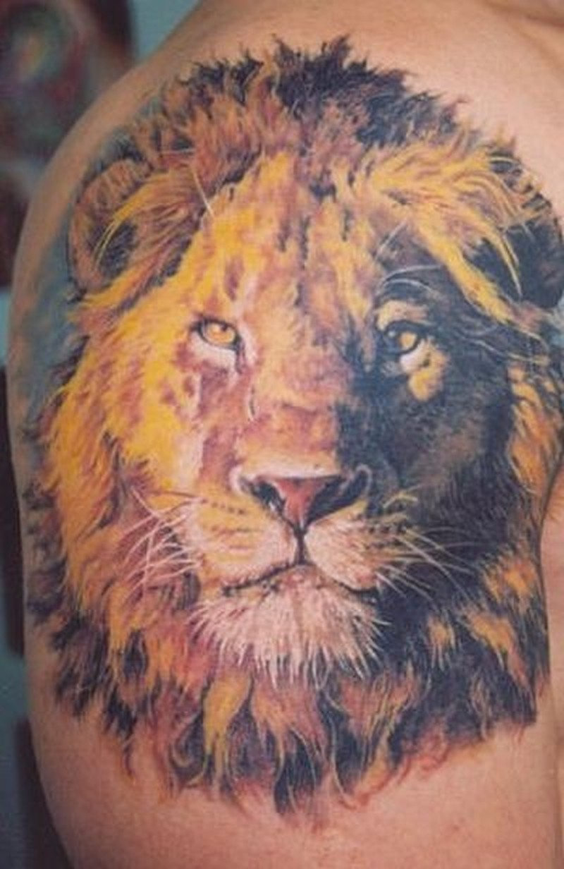 Awesome Lion Head Tattoo On Shoulder Tattoos Book 65000 Tattoos with sizing 800 X 1232