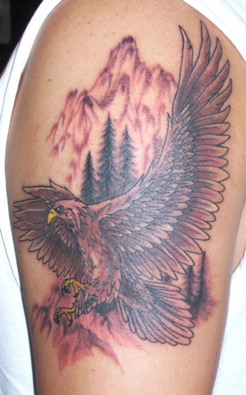 Bald Eagle Tattoo Design On Shoulder Tattoos Book 65000 Tattoos intended for measurements 800 X 1285
