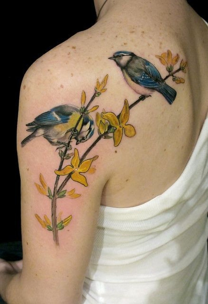 Beautiful Realistic Bird Tattoo On Shoulder Blade Tattoos Book inside dimensions 800 X 1169