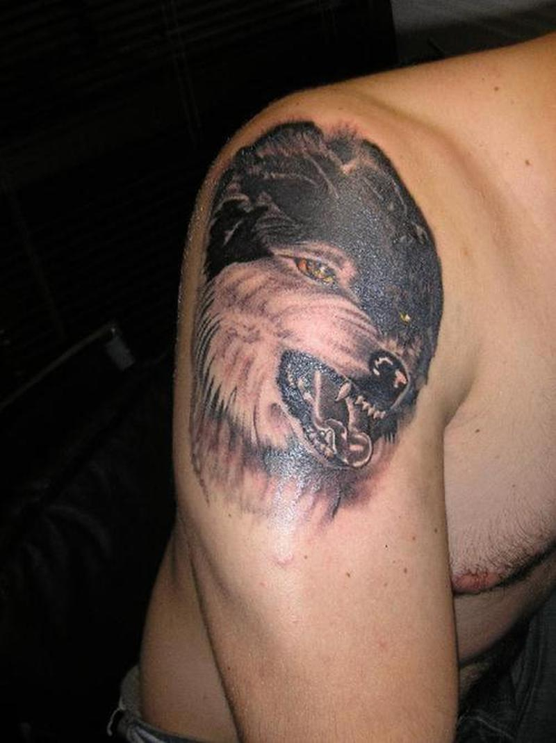 Best Wolf Tattoo On Right Shoulder Tattoos Book 65000 Tattoos within size 800 X 1069