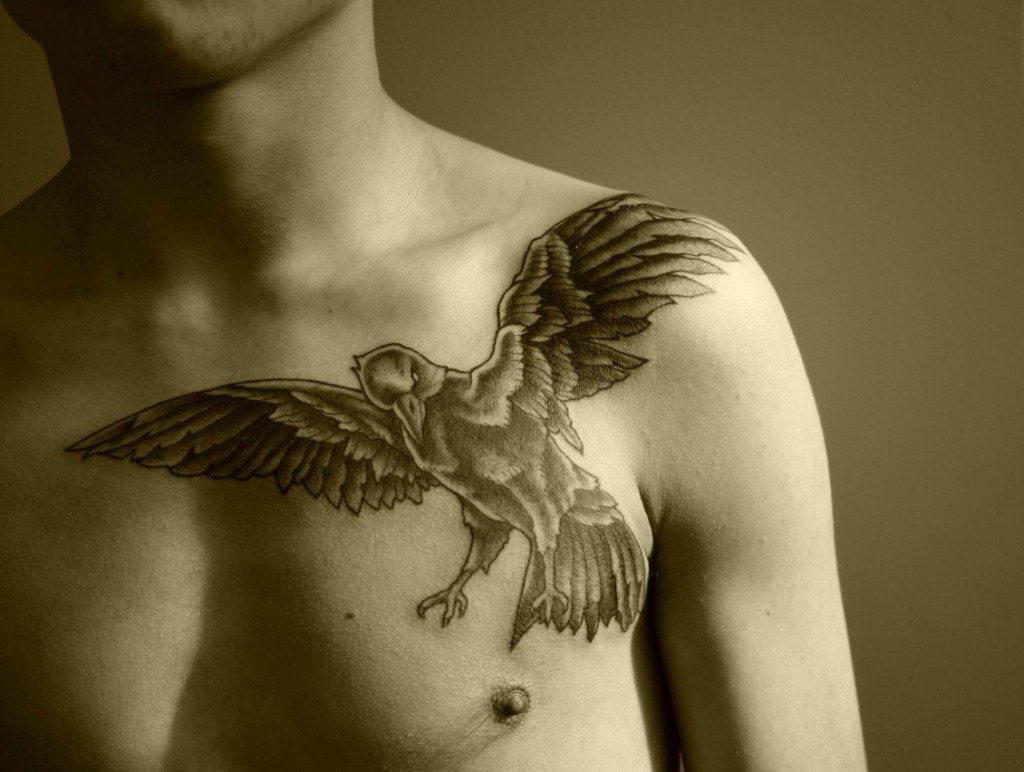 Bird Chest Tattoo Designs Ideas And Meaning Tattoos For You with regard to proportions 1024 X 772
