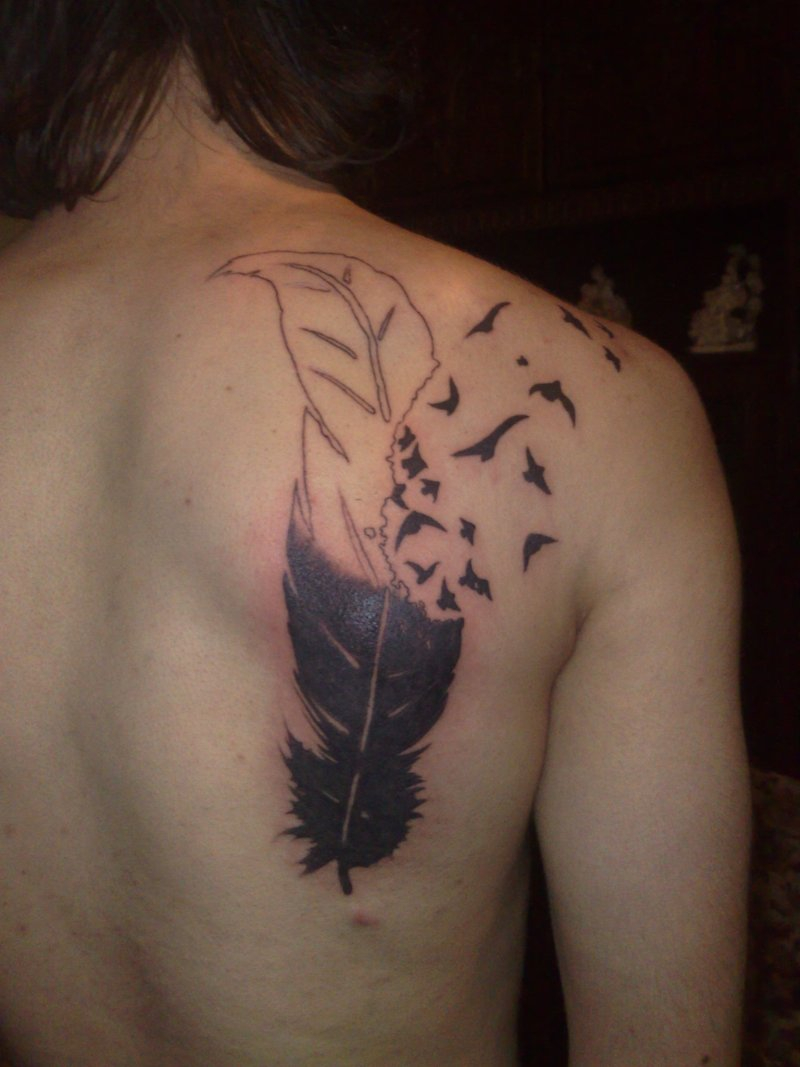 Birds Of A Feather Tattoo On Back Of Shoulder Tattoos Book pertaining to measurements 800 X 1067