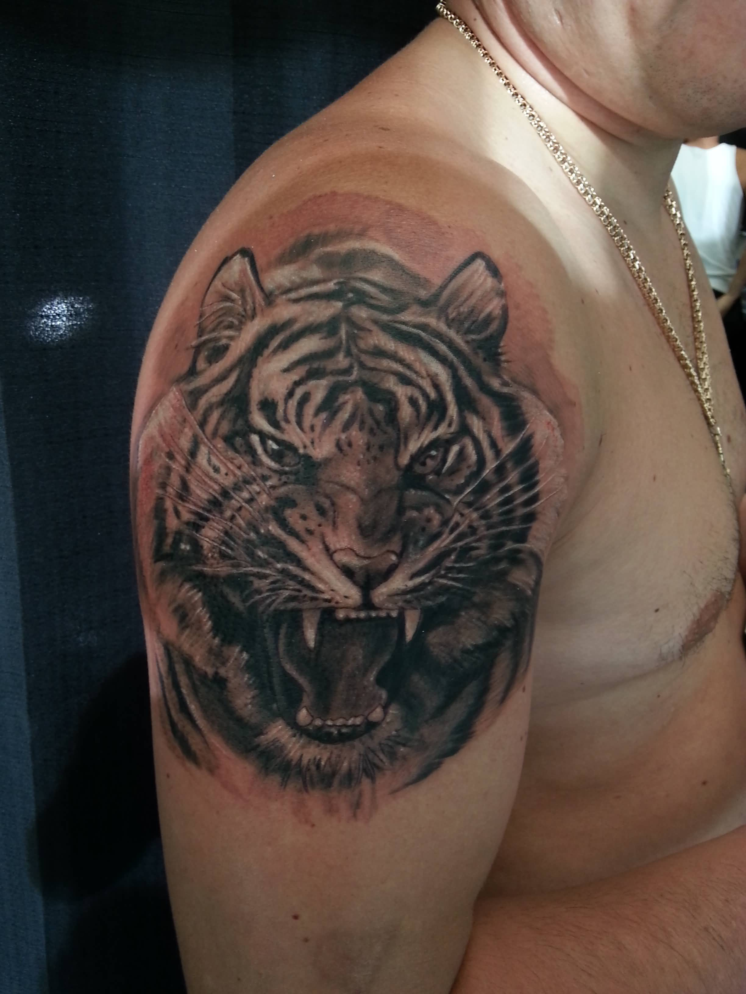 Black And Grey Angry Tiger Tattoo On Man Shoulder inside measurements 2448 X 3264