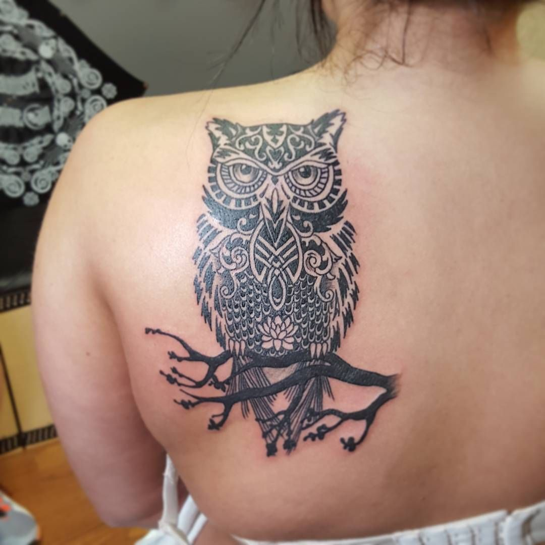 Black Ink Tribal Owl On Branch Tattoo On Girl Left Back Shoulder with regard to size 1080 X 1080