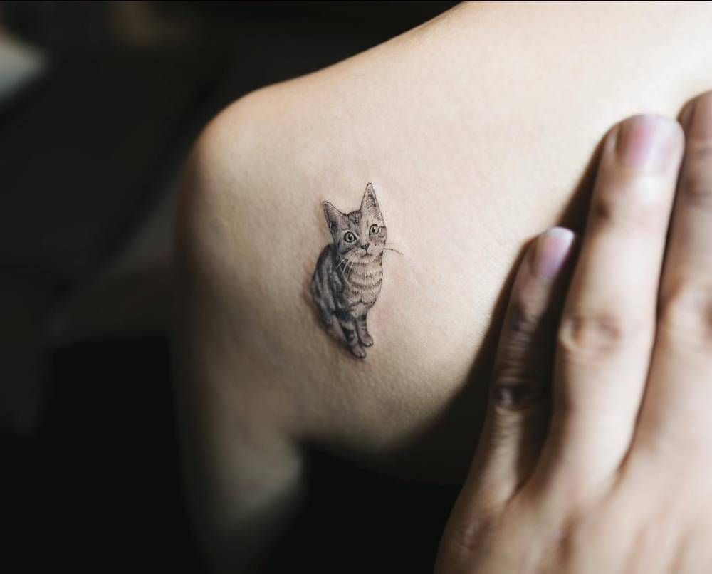 Cat Tattoo On The Left Shoulder Blade Tattoo Artist Sol Tattoo with regard to dimensions 1000 X 806
