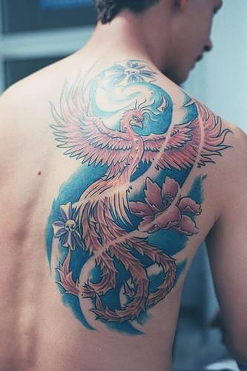 Coloured Phoenix Tattoo On Shoulder Blade Tattoos Book 65000 throughout dimensions 800 X 1201