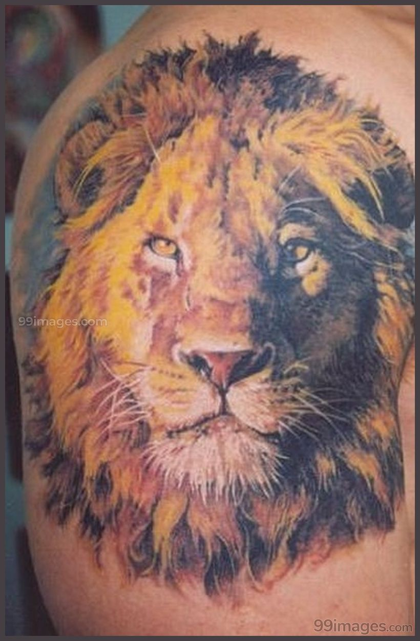 Creative Lion Tattoos Hd Images Lion Tattoos Latest Hd regarding dimensions 820 X 1252