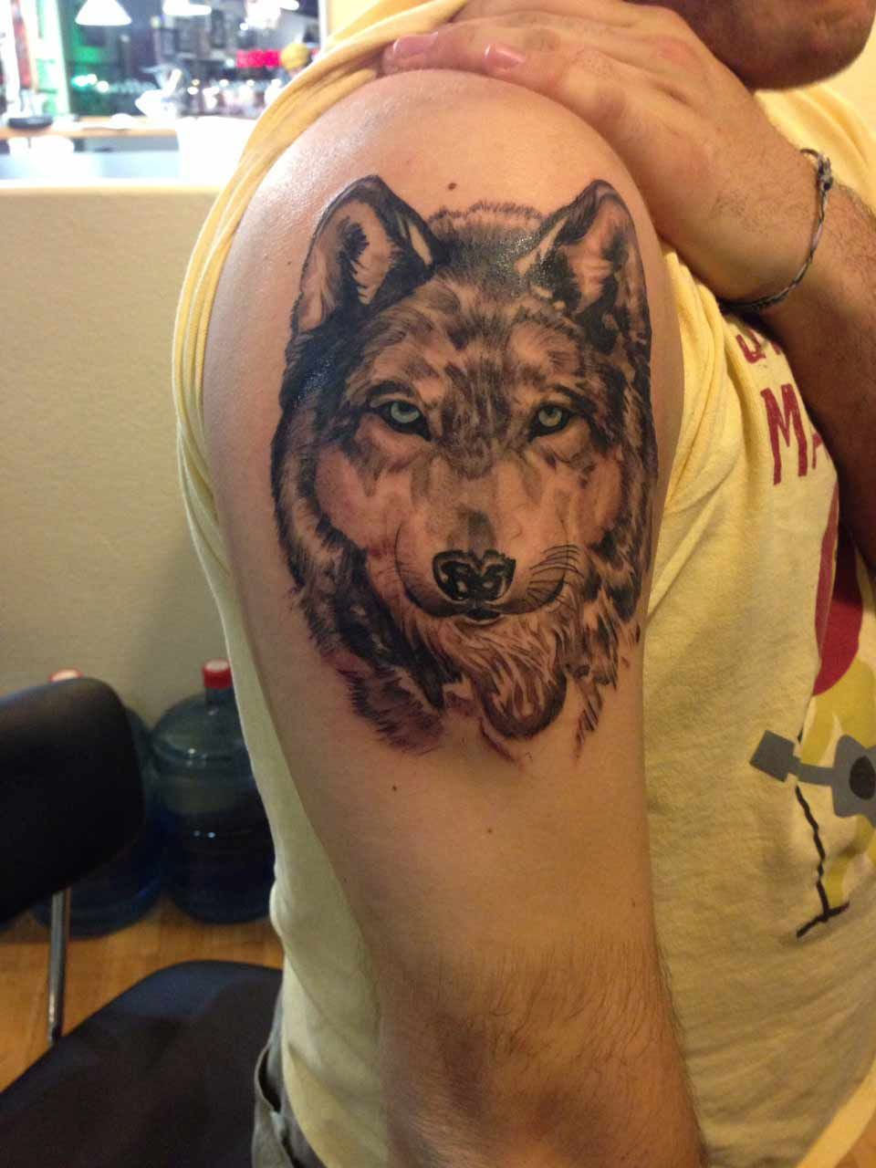 Cute Looking Wolf Tattoo On Right Arm Tattoos Lobo Tatuagem with regard to measurements 960 X 1280