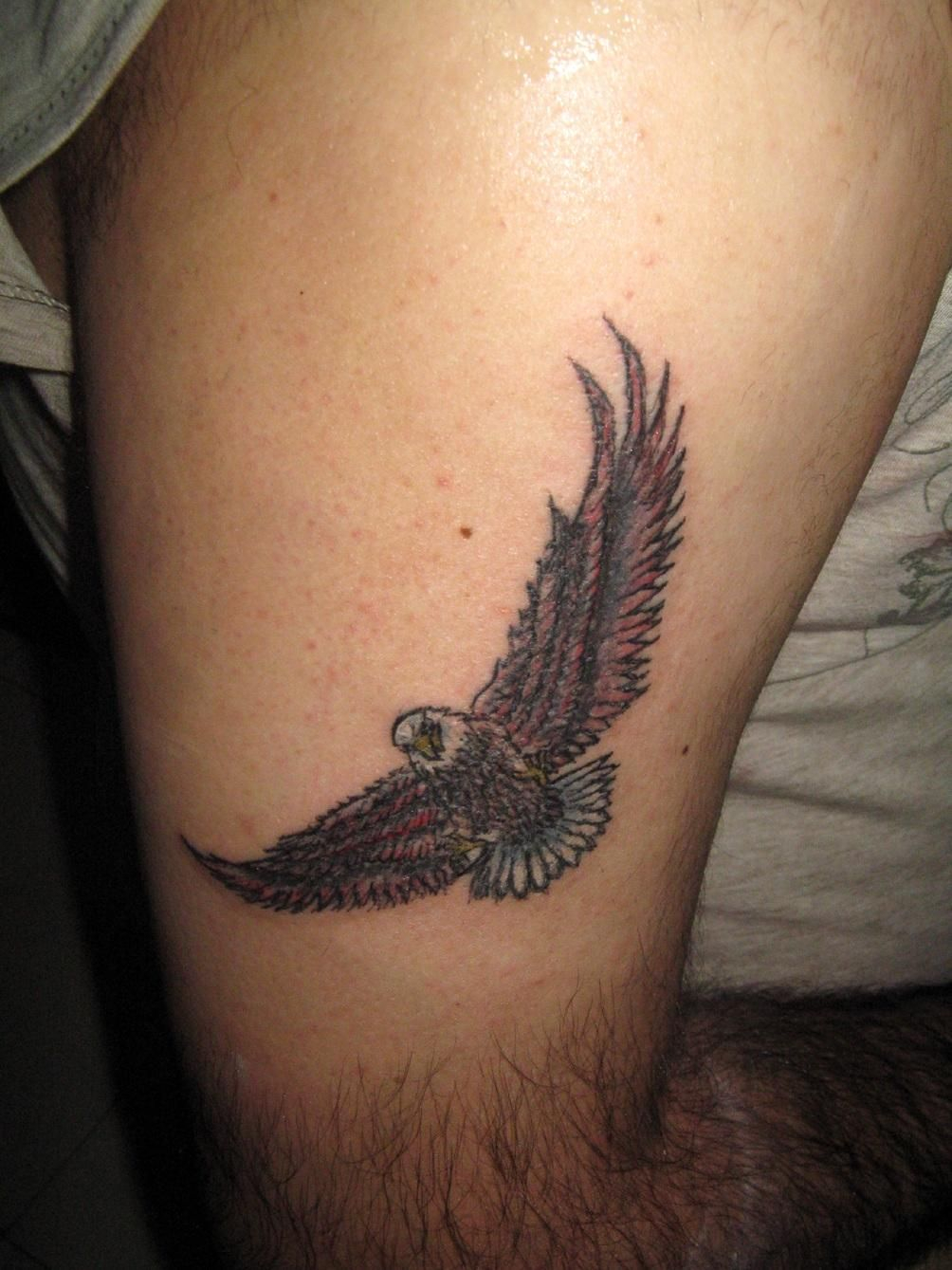 Eagle Tattoo Tattoo Ideas Small Eagle Tattoo Eagle Tattoos Tattoos with sizing 1004 X 1339