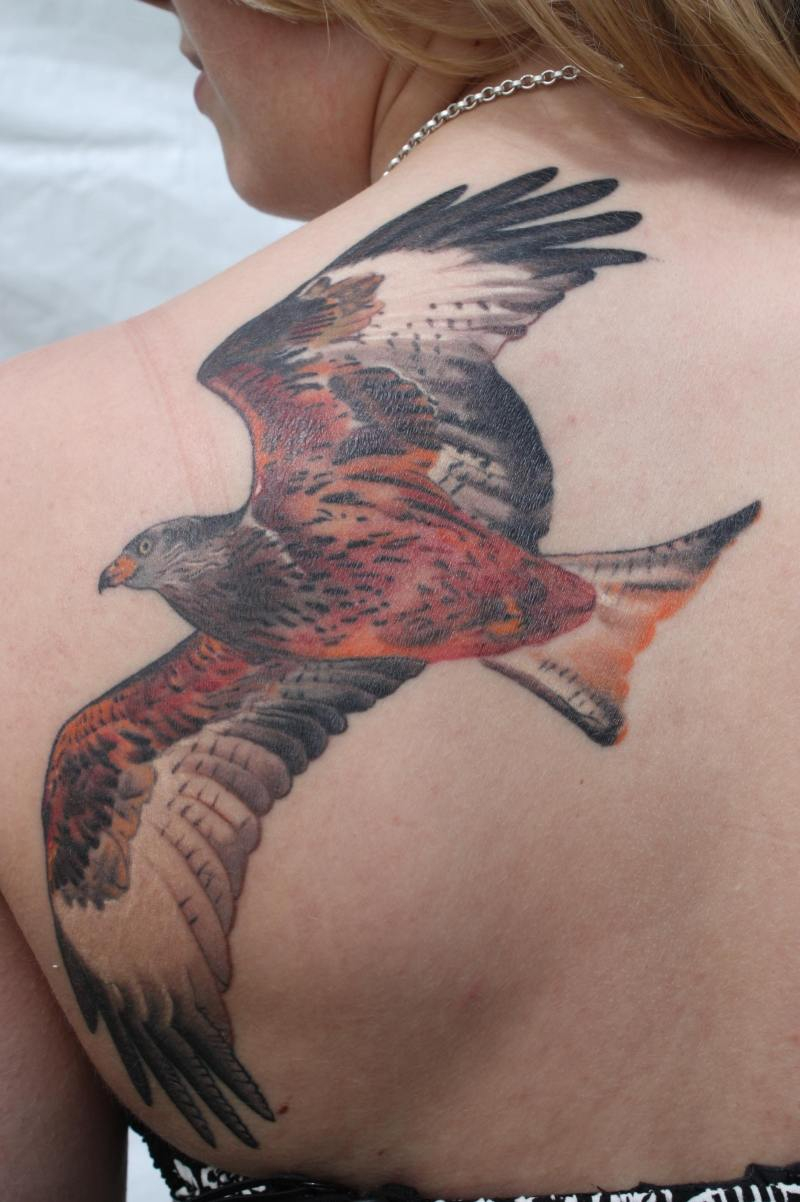 Flying Eagle Tattoo On Left Back Shoulder Tattoos Book 65000 inside proportions 800 X 1202