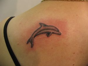 Grey Dolphin Tattoo On Left Back Shoulder intended for size 1024 X 768