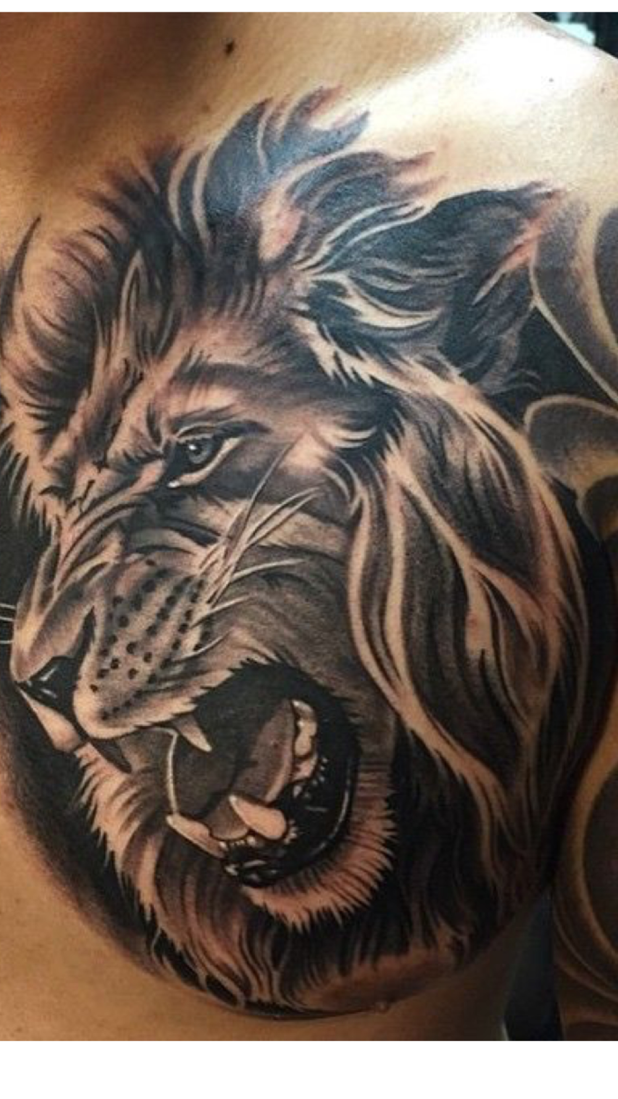 Leo Tattoo Design Idea Tattoos Lion Chest Tattoo Tattoos Lion intended for measurements 1242 X 2208