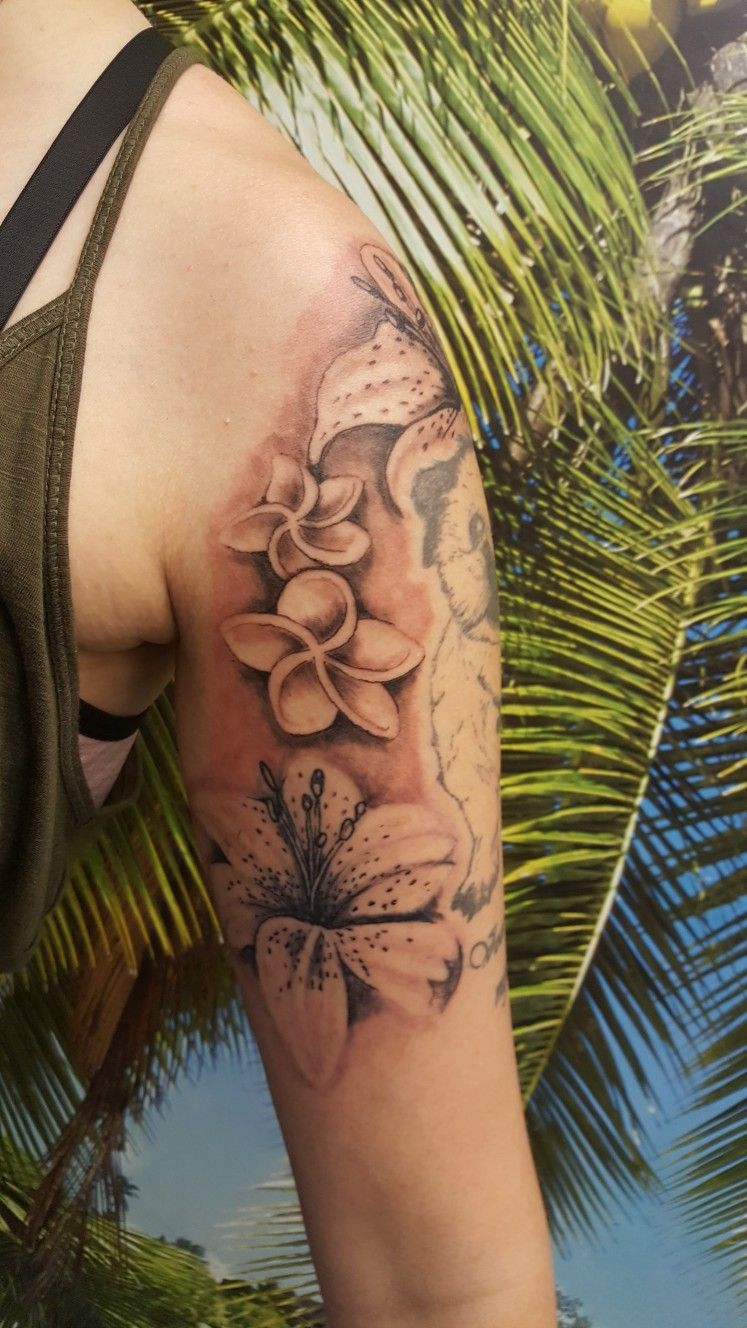Lilly And Frangipani Flowers Tattoo Soft Shaded Flower Background within dimensions 747 X 1328
