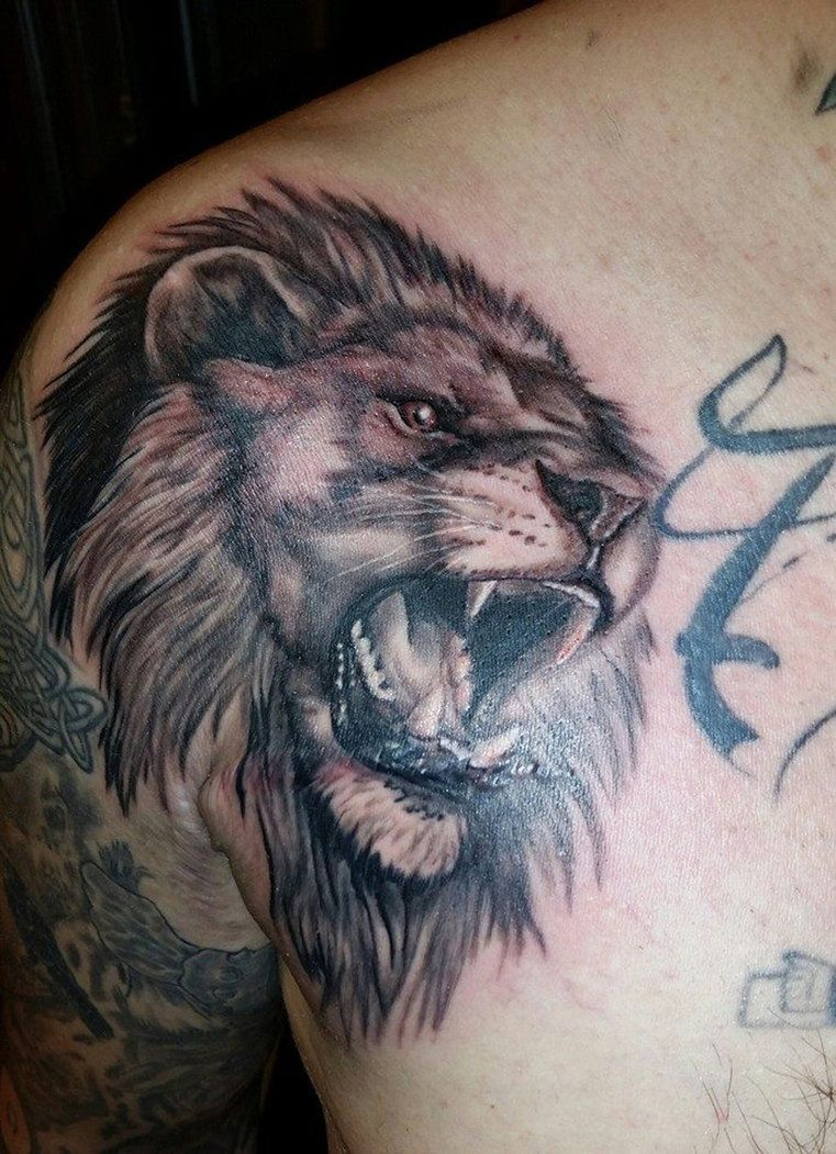 Lion Roar Tattoo Frufru Punk Lion Tattoo Drawing Lion inside proportions 761 X 1051
