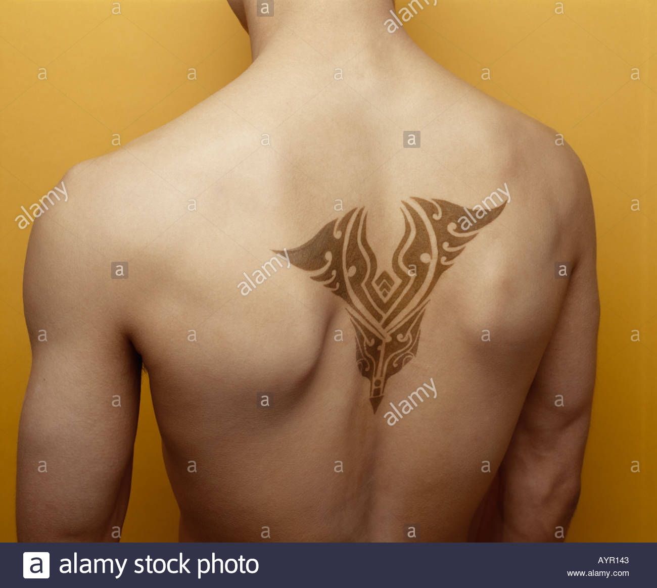 Male Henna Tattoo Across Shoulder Blades Stock Photo 3191106 Alamy pertaining to proportions 1300 X 1164
