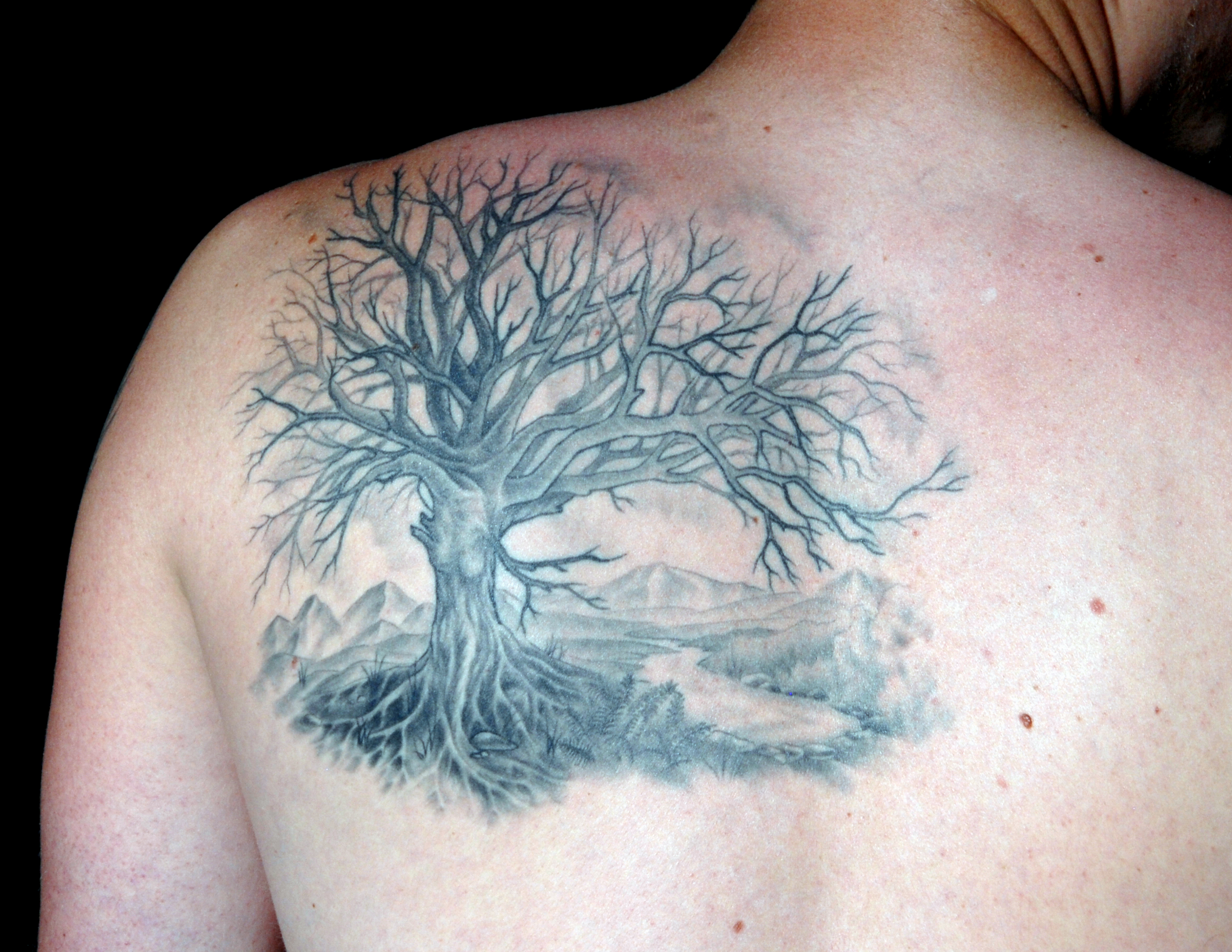 Mens Shoulder Black Tree Tattoo Tattoomagz Tattoo Designs with regard to sizing 3300 X 2550