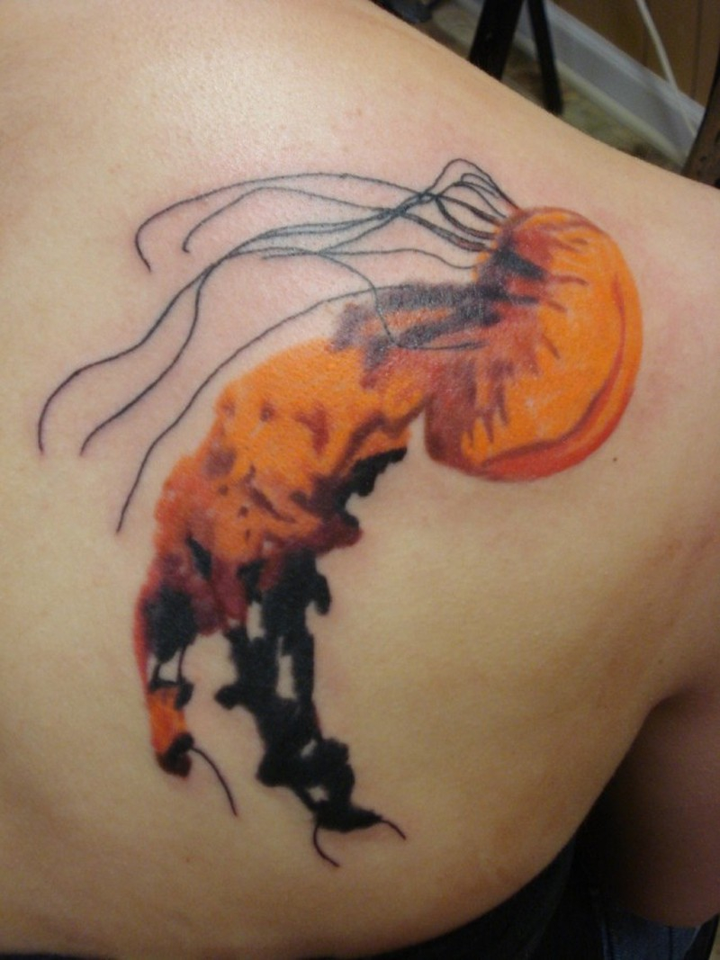 Nice Orange Jellyfish Tattoo On Shoulder Blade Tattoos Book with regard to sizing 800 X 1067