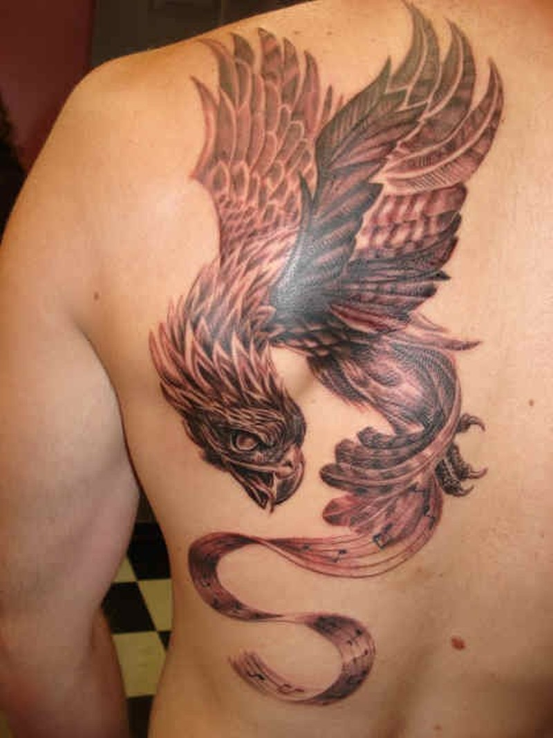 Phoenix Tattoo On Shoulder Blade For Men Tattoos Book 65000 in measurements 800 X 1067