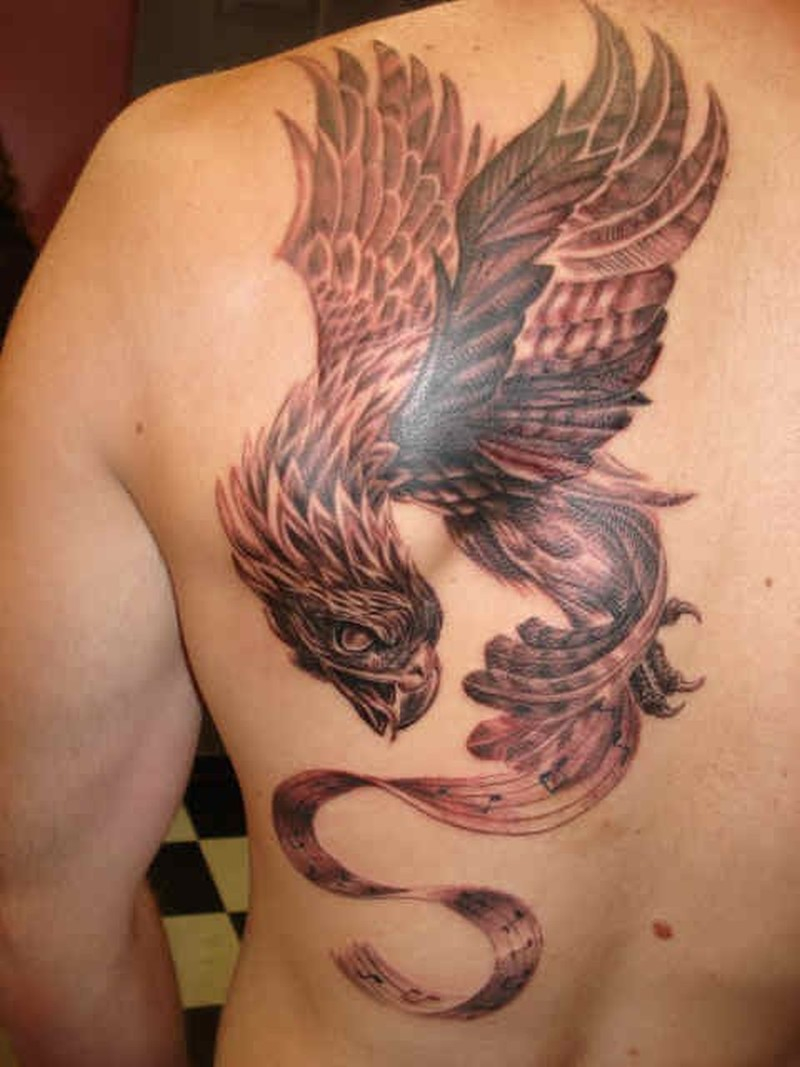 Phoenix Tattoo On Shoulder Blade For Men Tattoos Book 65000 with proportions 800 X 1067