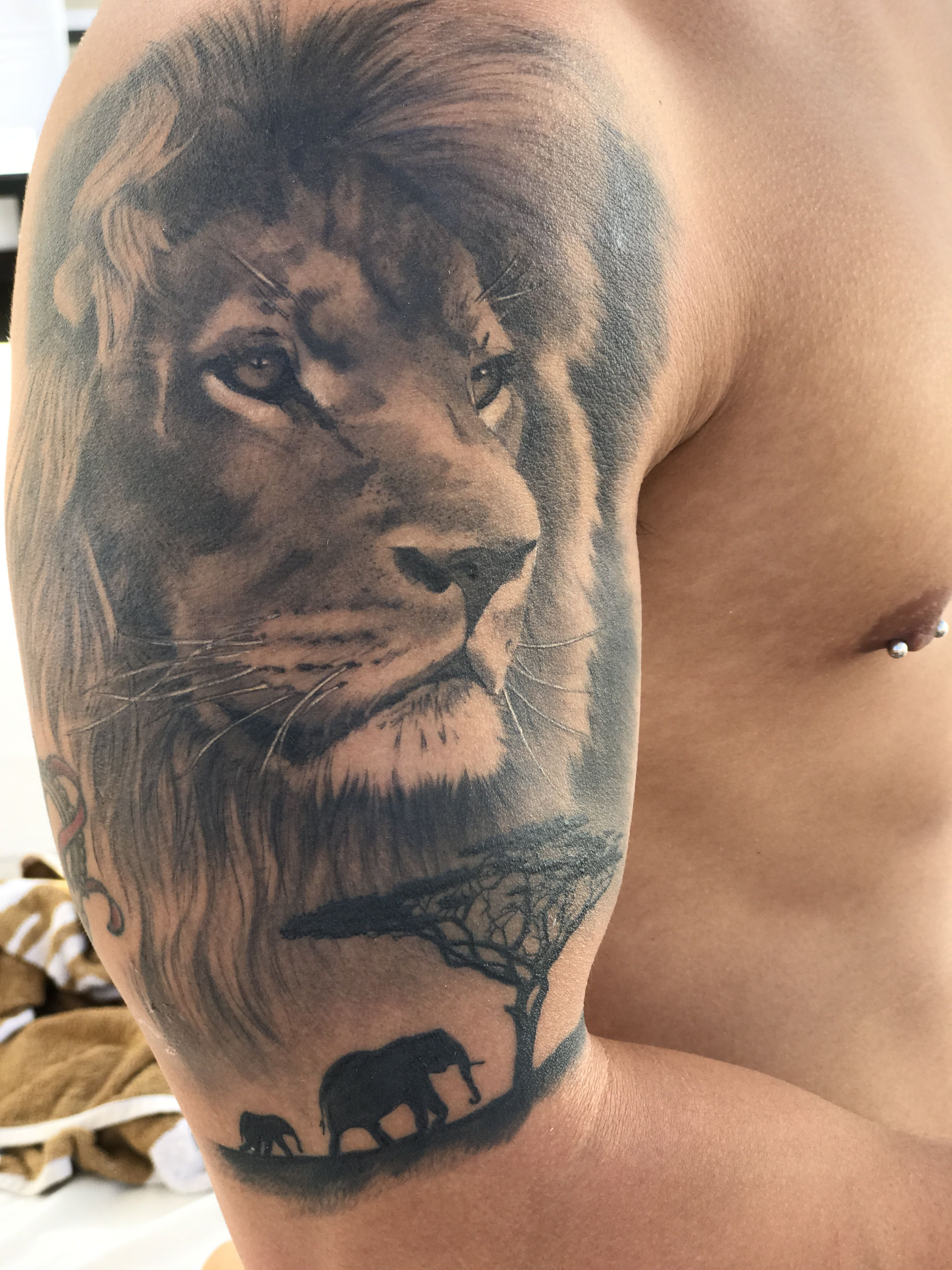 Pin Michael Reeder On Tattoo Designs Tattoos Lion Shoulder with regard to proportions 3024 X 4032