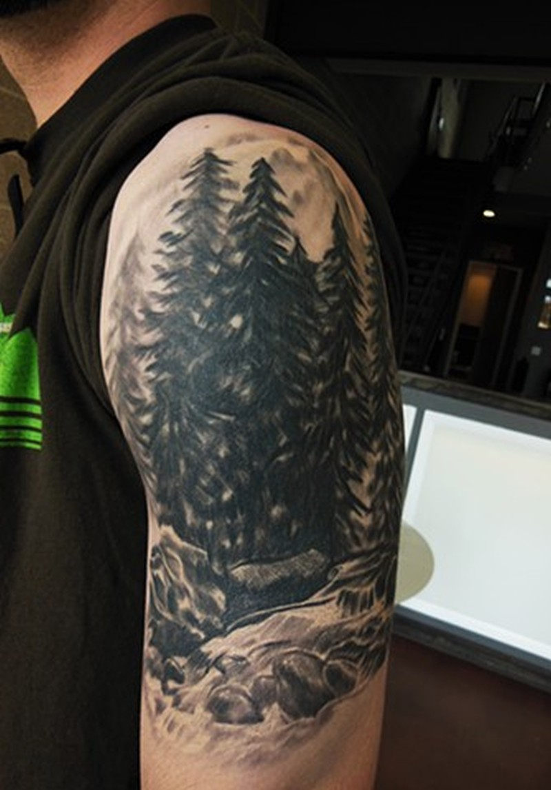 Pine Tree Tattoo Tattoos Book 65000 Tattoos Designs intended for sizing 800 X 1146