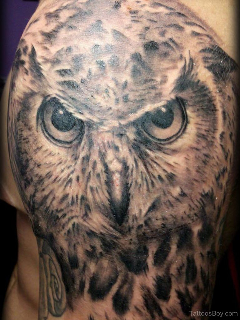 Realistic Owl Tattoo On Shoulder Tattoo Designs Tattoo Pictures with regard to proportions 768 X 1024