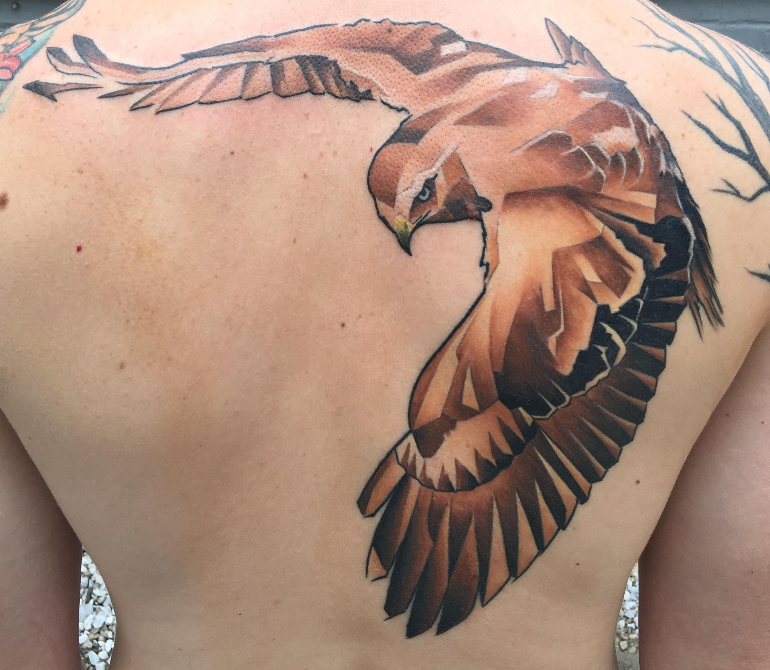 Red Tailed Hawk Marc Nelson Colts Timeless Tattoos Madison regarding measurements 2669 X 2325