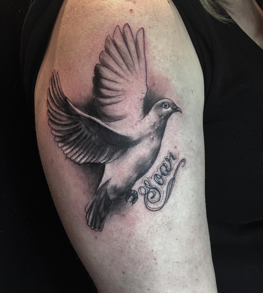 Right Shoulder Grey Ink Dove Tattoo pertaining to measurements 1080 X 1203