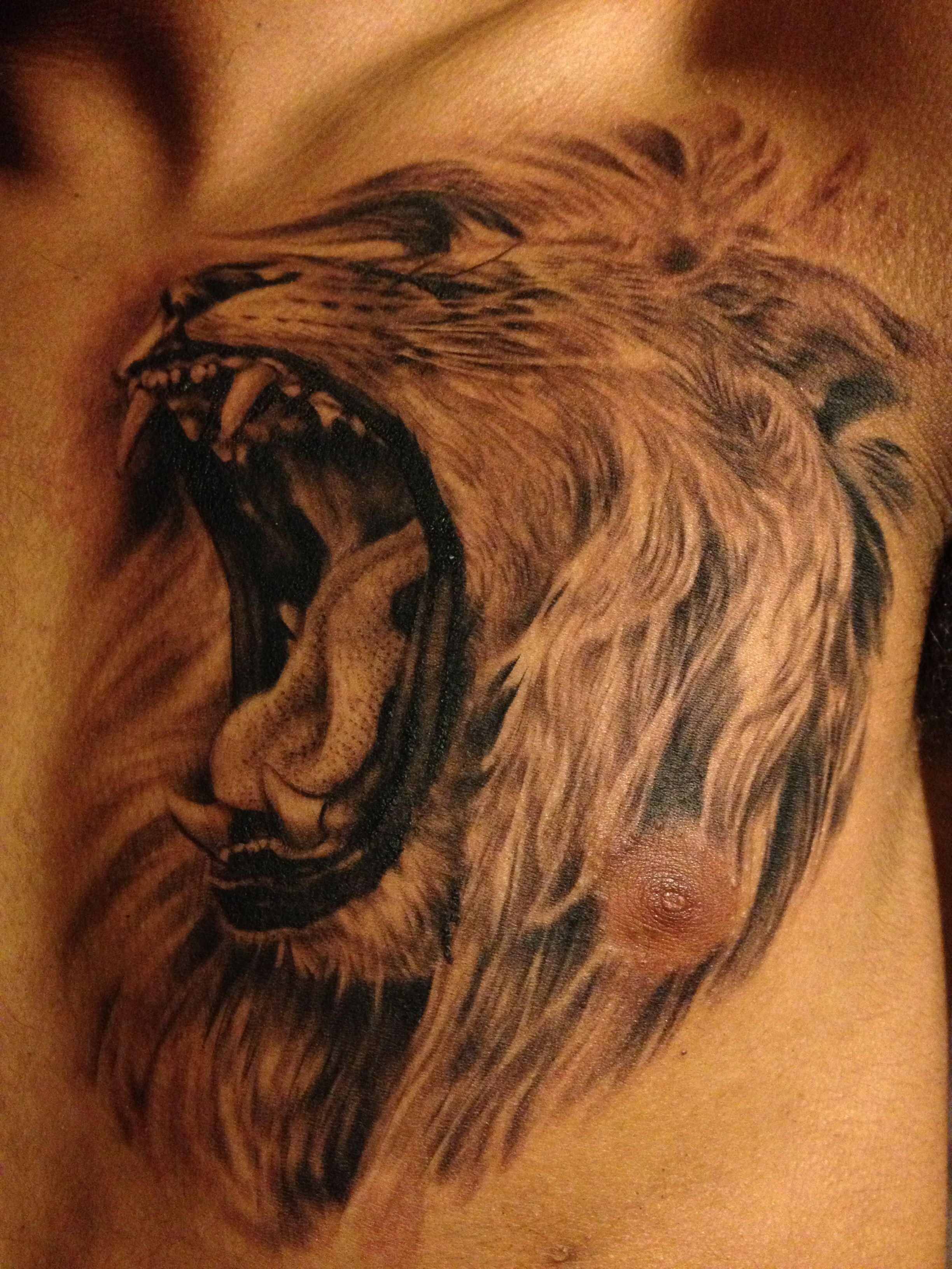 Roaring Lion Tattoo Lion Roaring Tattoo Tattoos Roaring Lion inside size 2448 X 3264
