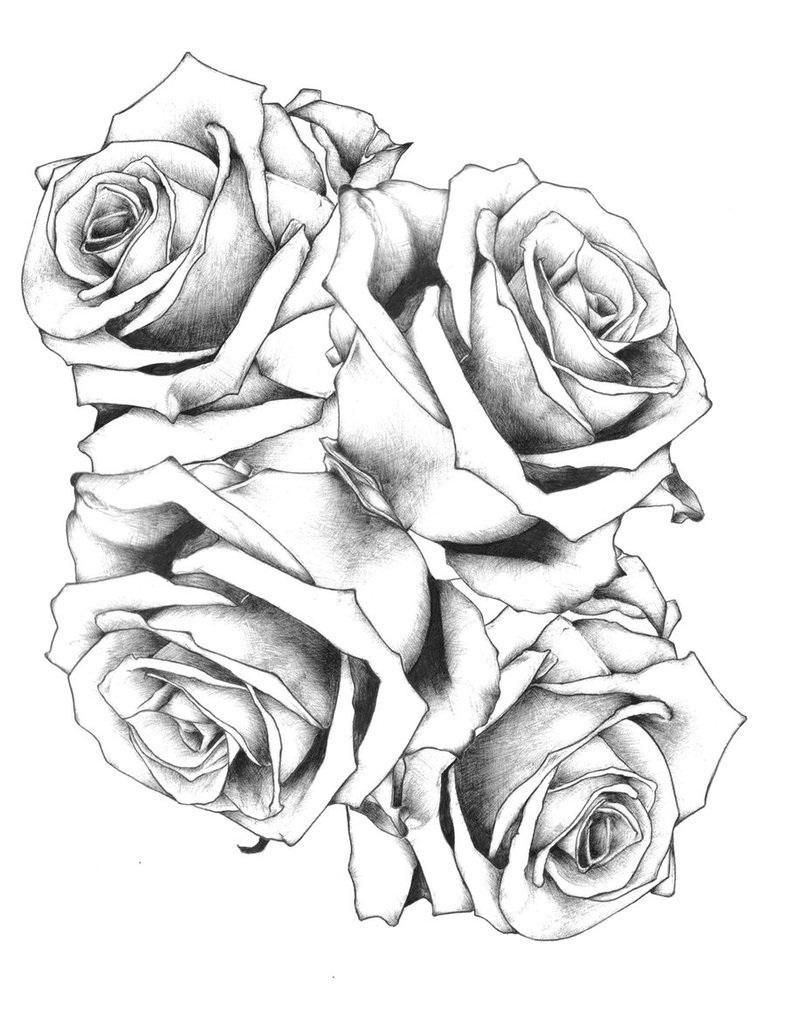 Roses Tattoo Tattoo Stencil Roses Black And White Mbuh Rose in size 786 X 1017