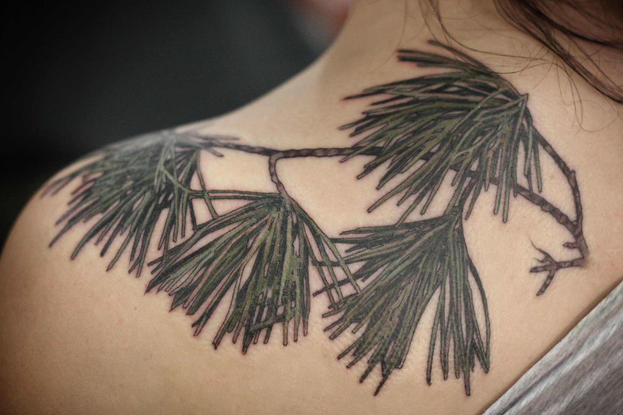 Shoulder Cover Up Fernpine Branch Tattoo Alice Kendall At for proportions 2048 X 1365