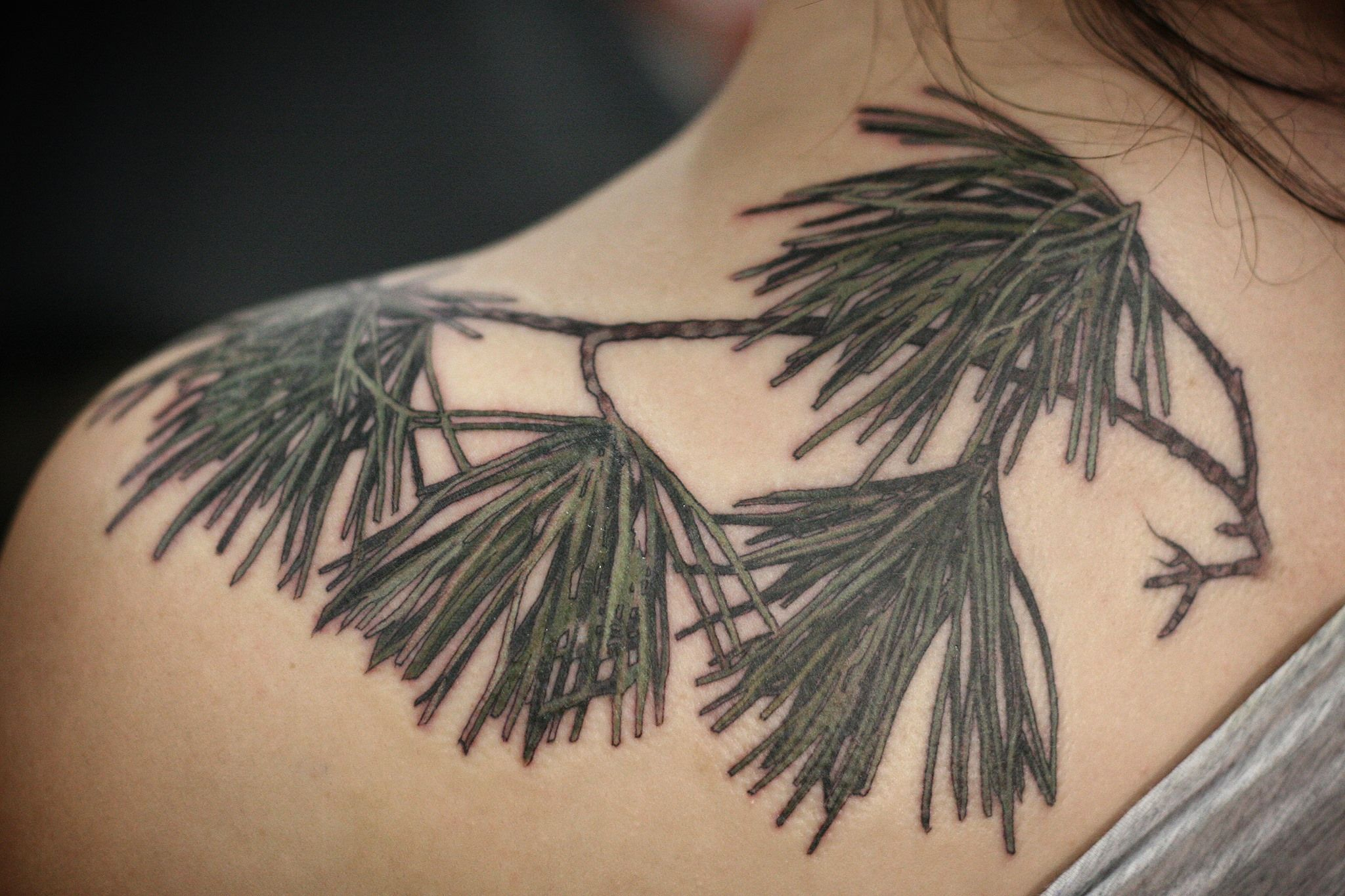 Shoulder Cover Up Fernpine Branch Tattoo Alice Kendall At pertaining to proportions 2048 X 1365