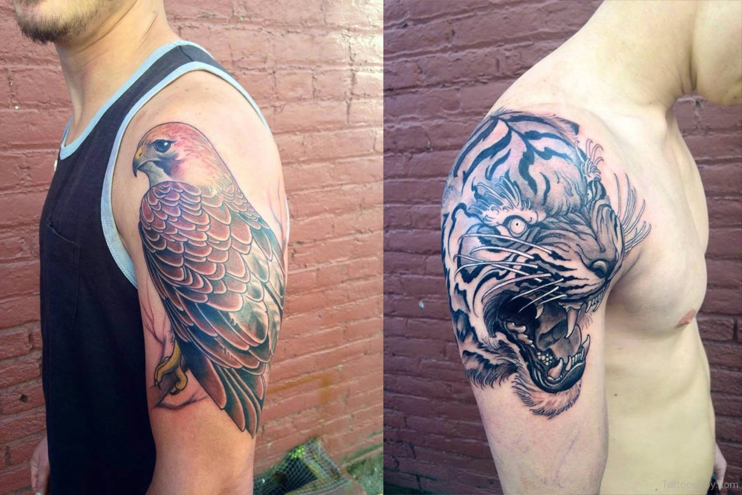 Shoulder Search Results Tattoo Designs Tattoo Pictures Page 98 pertaining to size 1500 X 1000