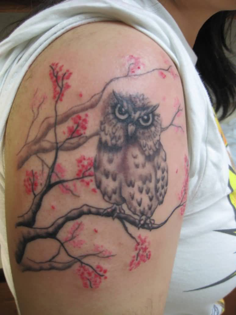 Simple Tree Branch With Amazing Owl Tattoo On Shoulder Golfian inside sizing 774 X 1032