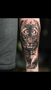 Tiger Tattoo Tattoos Tiger Tattoo Lion Tattoo Forearm Tattoos for measurements 750 X 1334