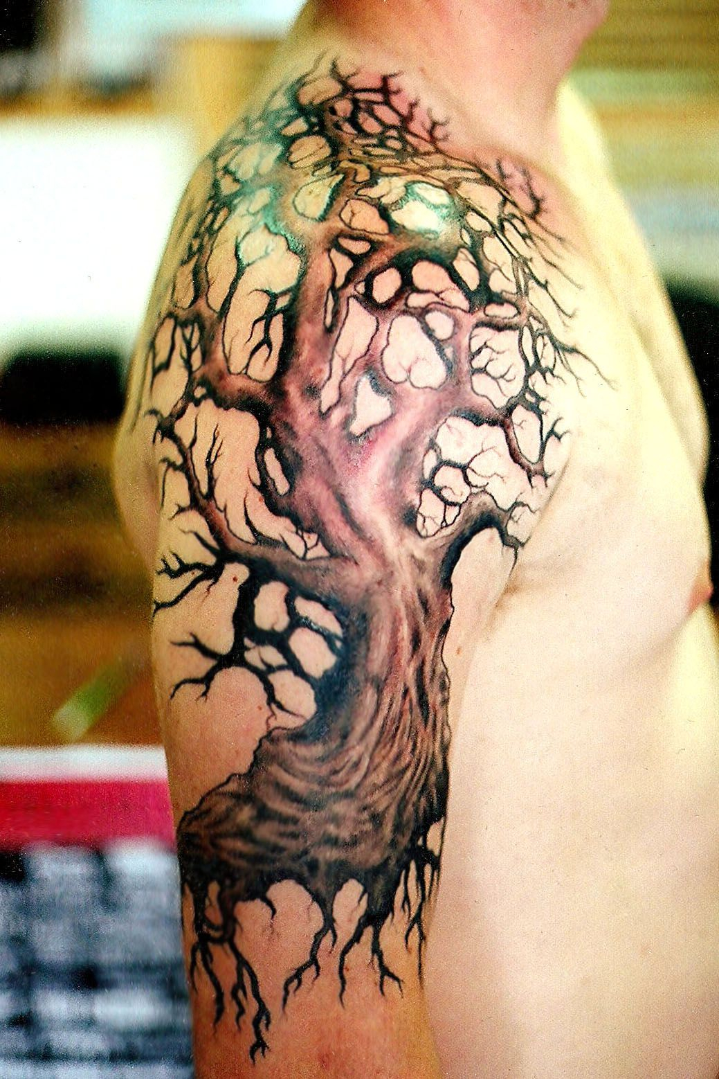 Tree Tattoo Shoulder Tree Tattoos Tree Tattoo Designs Tree in size 1039 X 1558