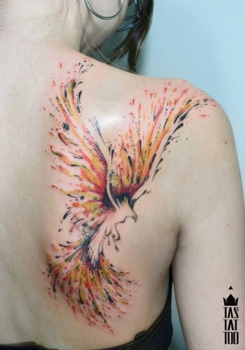 Watercolor Phoenix Tattoo On Shoulder Blade Tattoos Book 65000 in size 800 X 1143