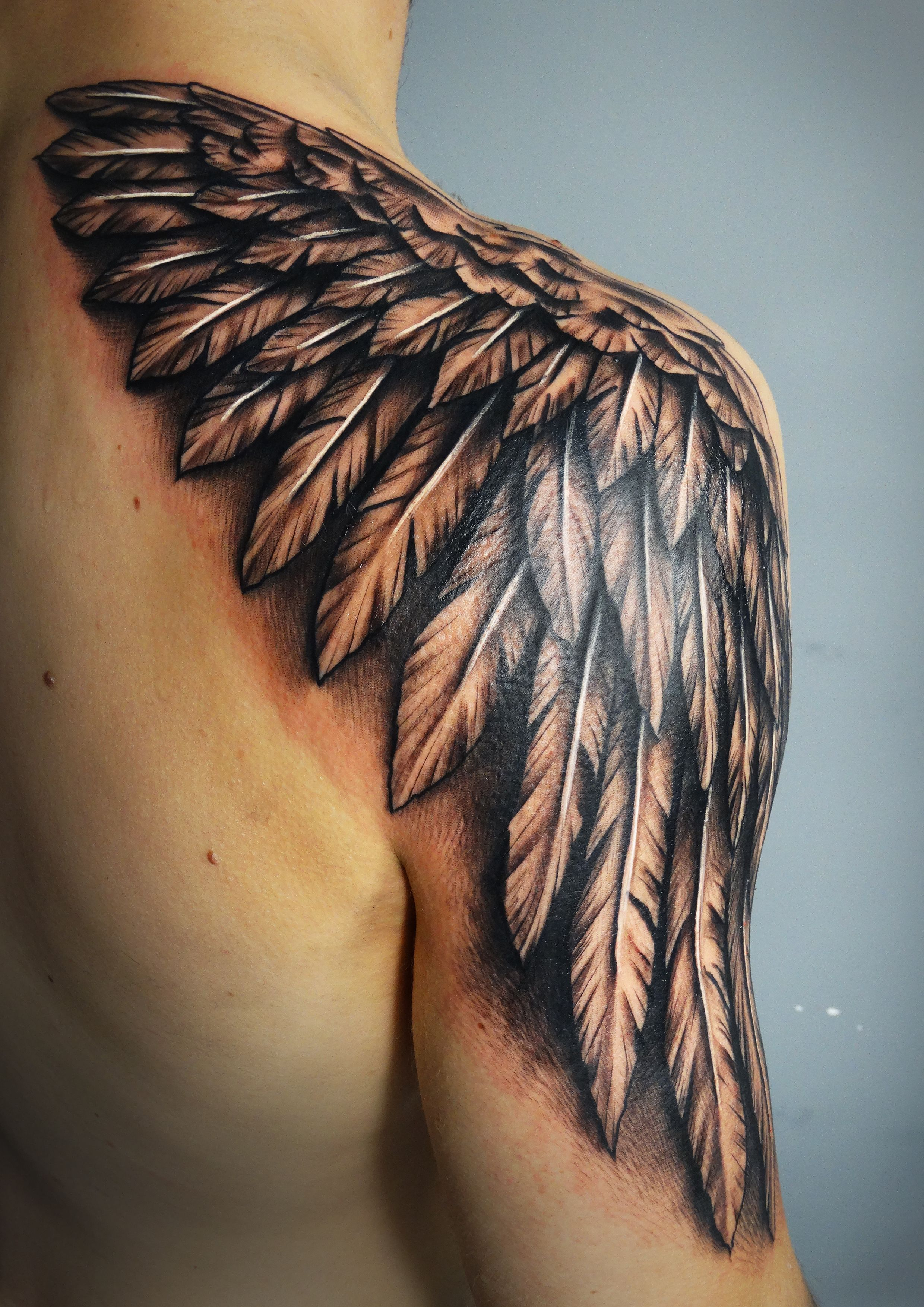 Wing Tattoo Tattoo Tattoos Hand Tattoos Wing Tattoo Men regarding dimensions 2480 X 3508