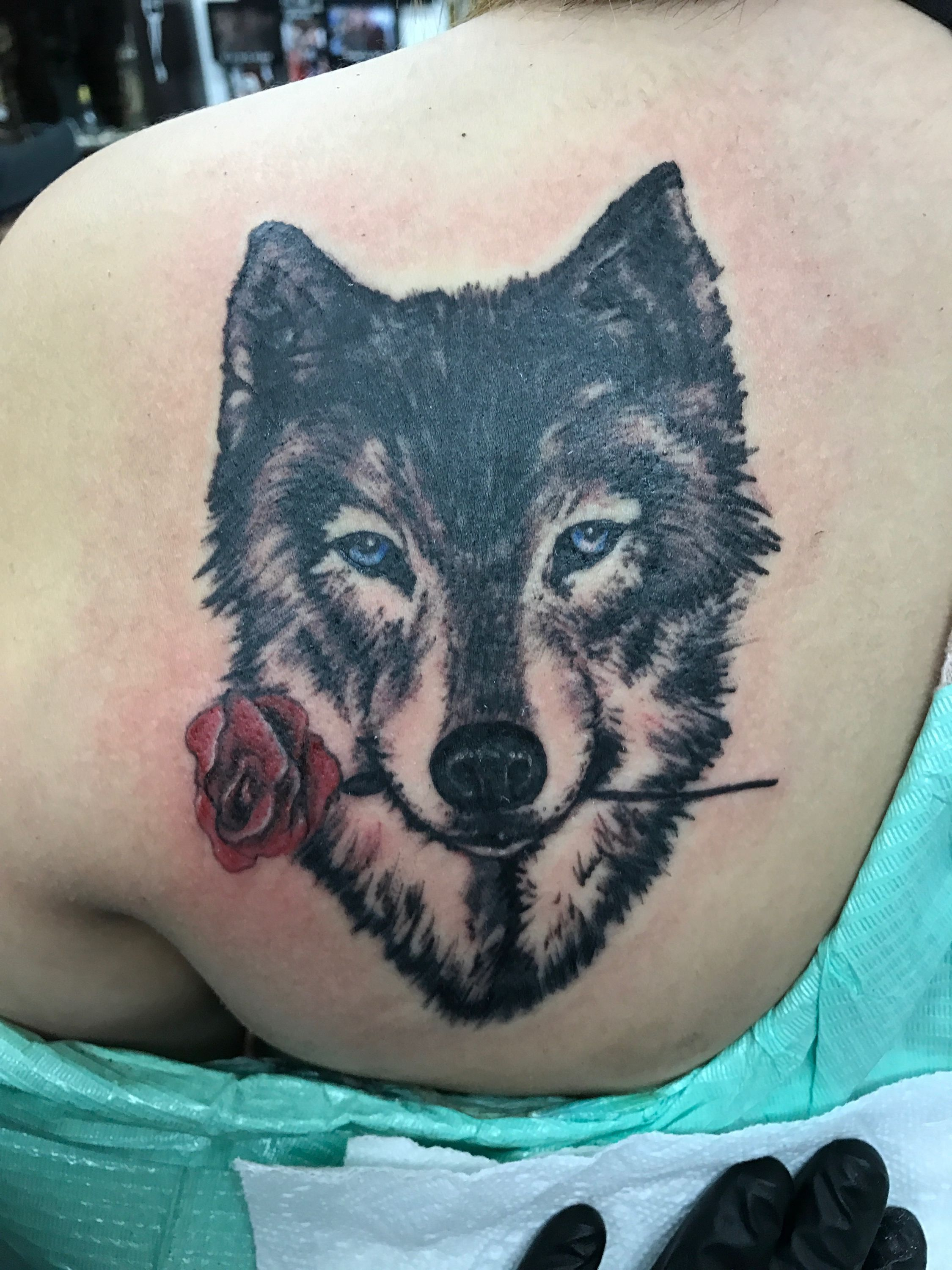 Wolf Tattoo On Left Shoulder Blade Ink Tattoos Ink Wolf with regard to measurements 2250 X 3000